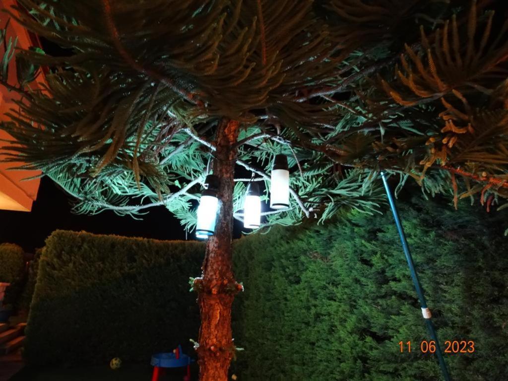 Surya Butik Hotel Alacatı Bagian luar foto